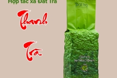 thanh-tra