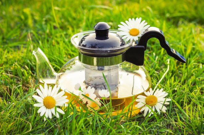 15 công dụng tuyệt vời của trà hoa cúc mà bạn chưa biết