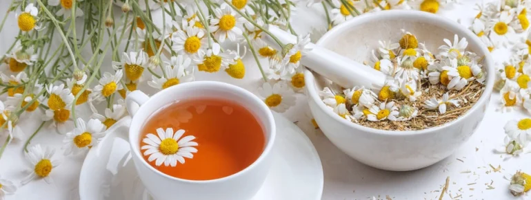 Những điều cần biết về thành phần dinh dưỡng trong trà hoa cúc
